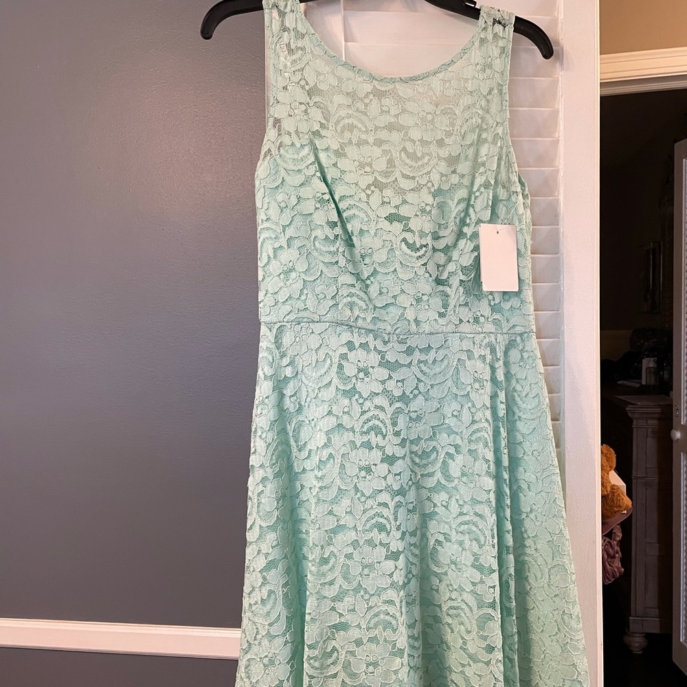 NWT David’s Bridal mint lace bridesmaid dress